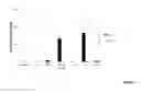Fig. 05 - Immune enhancing recombinant dengue protein
