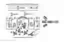 Fig. 02 - Multi-functional mucosal vaccine platform
