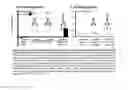 Fig. 06 - Multi-functional mucosal vaccine platform