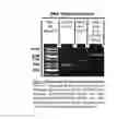 Fig. 09 - Multi-functional mucosal vaccine platform
