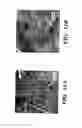 Fig. 13 - Drug delivery composition comprising a self-assembled gelator