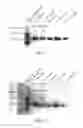 Fig. 02 - POLYMER FACTOR IX MOIETY CONJUGATES