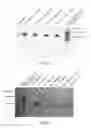 Fig. 03 - POLYMER FACTOR IX MOIETY CONJUGATES
