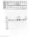 Fig. 07 - MODIFIED HOST CELLS AND USES THEREOF