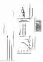Fig. 32 - Antibody drug conjugates