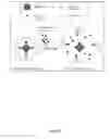 Fig. 02 - Reversible Pegylation of Nanocarriers