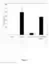 Fig. 04 - Reversible Pegylation of Nanocarriers