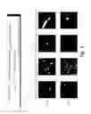 Fig. 04 - FUNCTIONALIZED PEPTIDE TRANSPORTERS FOR CELLULAR UPTAKE