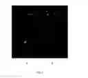 Fig. 02 - Fluorescent conjugates