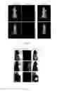 Fig. 03 - Fluorescent conjugates