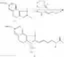Fig. 06 - Fluorescent conjugates