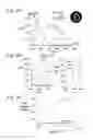 Fig. 06 - Delivery system in micellar form having modular spectral response based on enzyme-responsive amphiphilic PEG-dendron hybrid polymers