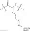 Fig. 40 - Delivery system in micellar form having modular spectral response based on enzyme-responsive amphiphilic PEG-dendron hybrid polymers
