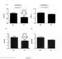 Fig. 03 - METHODS OF TREATMENT OF CANCER