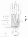 Fig. 02 - PHOTO-CATALYZING FLUID MOBILIZING SYSTEMA ND METHOD