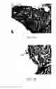 Fig. 08 - RAPID ALLOGRAFT TREATMENT SYSTEMS AND METHODS
