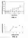 Fig. 04 - Mineralization and Biological Modification of Biomaterial Surfaces