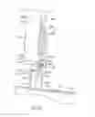 Fig. 24 - Medicament delivery device for administration of opioid antagonists including formulations for naloxone