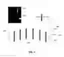 Fig. 02 - Vacuum-assisted drug delivery device and method