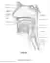 Fig. 06 - Device for retaining humidity in a patient interface