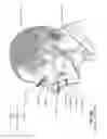 Fig. 08 - Device for retaining humidity in a patient interface