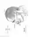 Fig. 09 - Device for retaining humidity in a patient interface