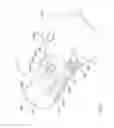 Fig. 10 - SMALL ANIMAL IMAGING DEVICE