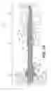 Fig. 04 - Multiple function balloon catheter