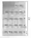 Fig. 02 - Draped microneedle array