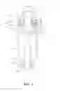 Fig. 04 - Closed male luer
