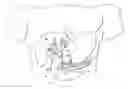 Fig. 01 - Method and Apparatus for Electrical Stimulation of the Pancreatico-Biliary System
