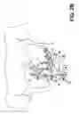 Fig. 05 - Method and Apparatus for Electrical Stimulation of the Pancreatico-Biliary System