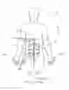 Fig. 01 - ELECTRICAL MUSCLE STIMULATION DEVICE