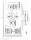 Fig. 03 - Systems and methods for delivering vagal nerve stimulation