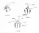 Fig. 10 - Dry sprinkler assembly