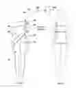 Fig. 01 - Garment with stretch sensors