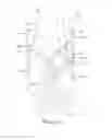 Fig. 10 - Particle separator systems and processes for improving food safety