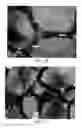 Fig. 19 - System and method for improving mass air flow signal quality