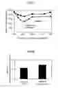 Fig. 05 - Particulate filter provided with catalyst and method for manufacturing said filter