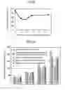 Fig. 06 - Particulate filter provided with catalyst and method for manufacturing said filter