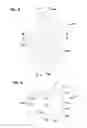 Fig. 06 - Filter arrangements; housings; assemblies; and, methods