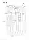 Fig. 08 - Filter arrangements; housings; assemblies; and, methods