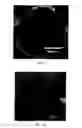 Fig. 07 - Composite Absorbent Particles for Drying an Emulsions