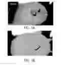 Fig. 04 - Super absorbent resin having improved solidification resistance, and method for preparing same