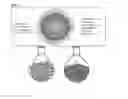 Fig. 02 - Method for regenerating a used sorbent having a gas adsorbate adsorbed thereto