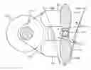 Fig. 01 - Jaw crusher machine