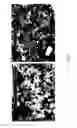 Fig. 24 - METHOD OF MAKING RHENIUM COATING