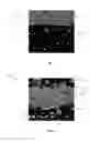 Fig. 03 - Multi-layer plate device