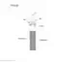 Fig. 32 - Tool holder, polishing tool, polishing tool unit, and method of adjusting protruding amount of grinding member