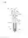 Fig. 40 - Tool holder, polishing tool, polishing tool unit, and method of adjusting protruding amount of grinding member